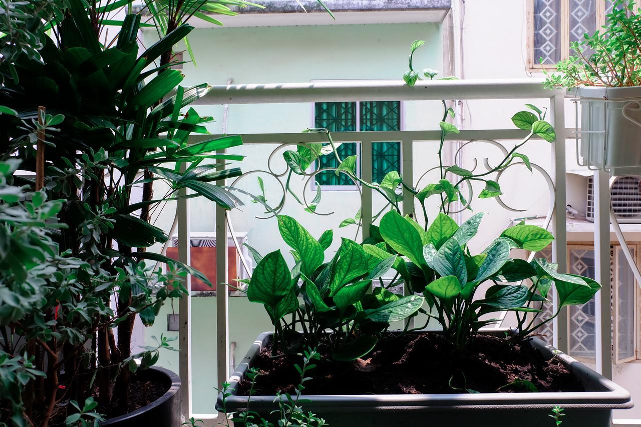 Magari Homestay Cidade de Ho Chi Minh Exterior foto